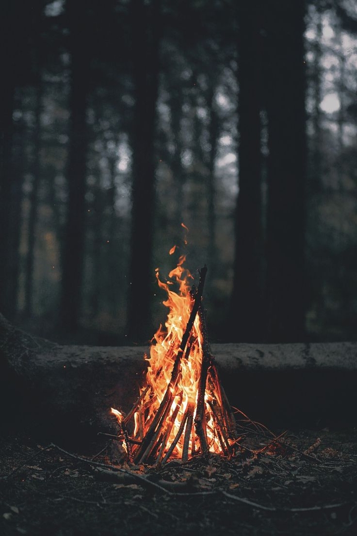 Firewood