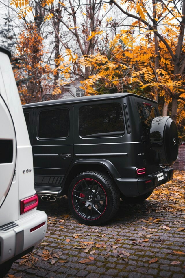 Mercedes Benz