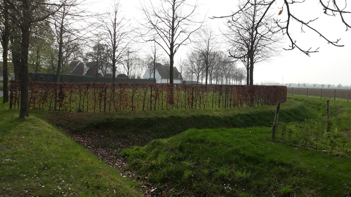 Vieuw