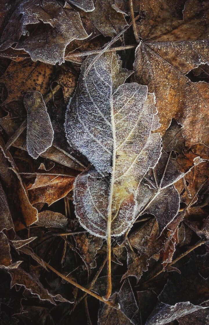 Otoño