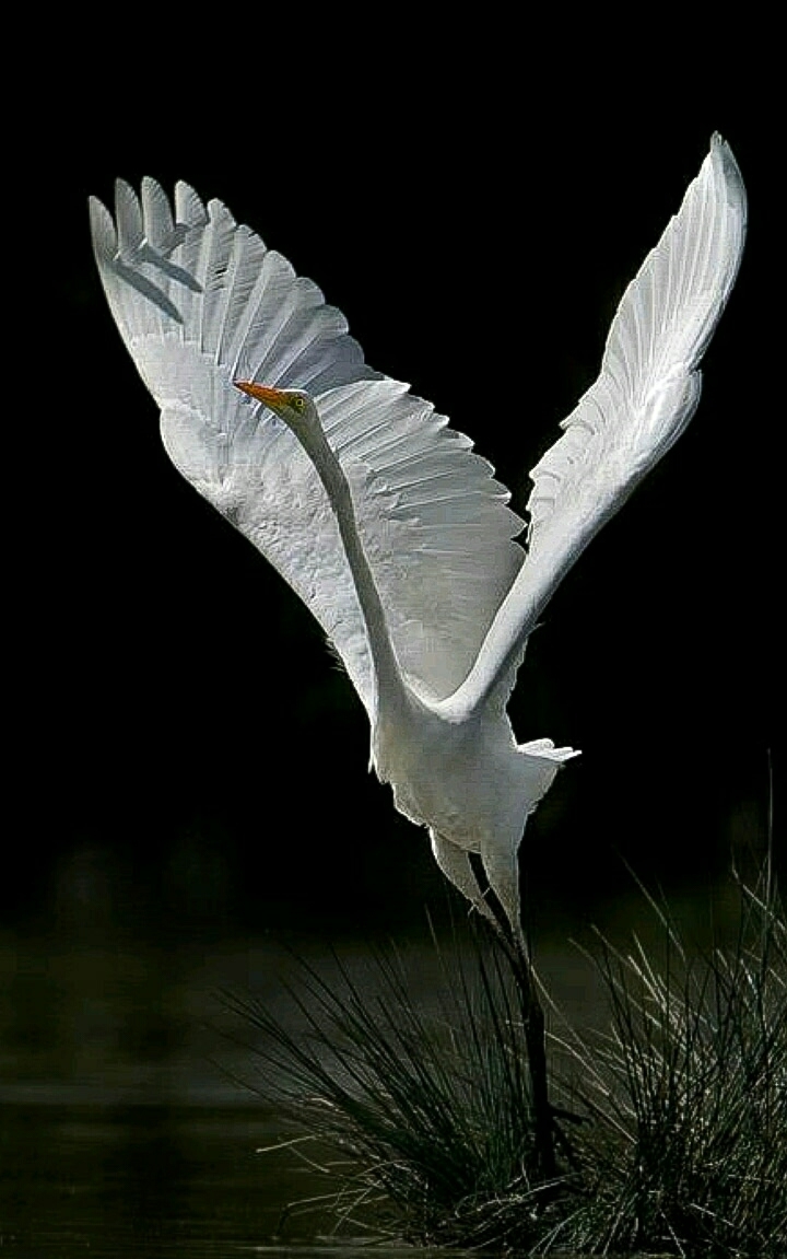 Lifting Off