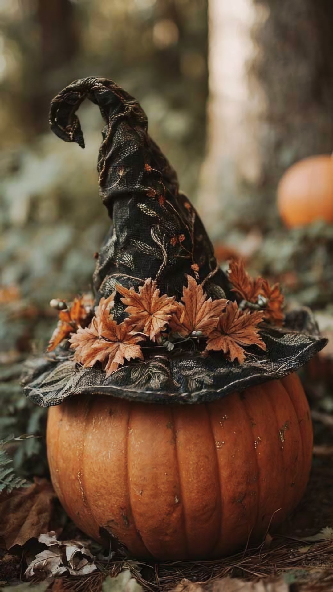 THE PUMPKIN WITCH