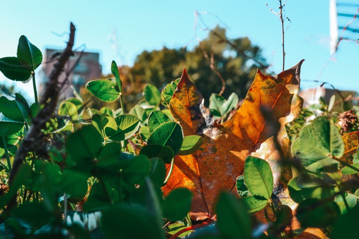 October