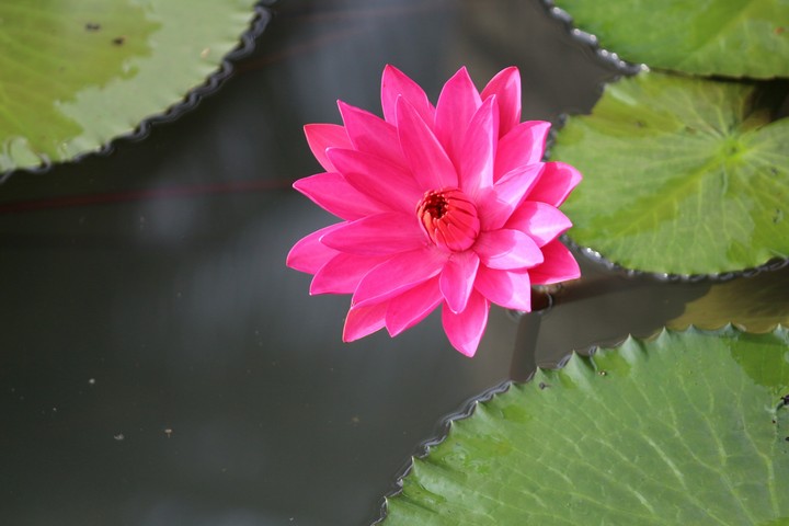 gift of mother nature