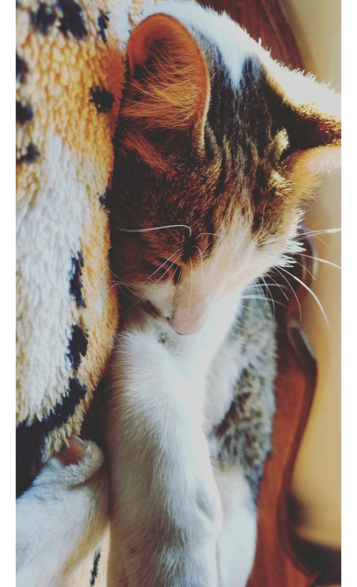 Milah