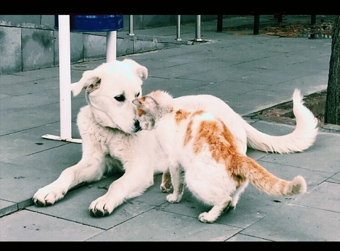 motherhood