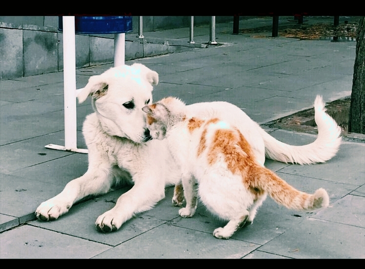 motherhood