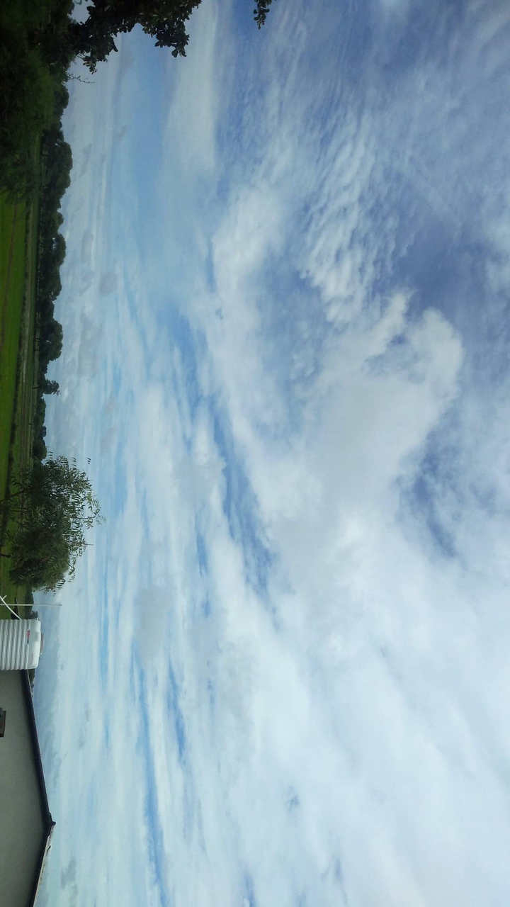 beautiful