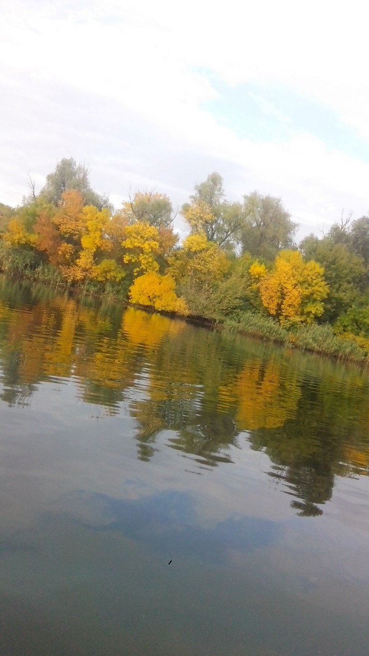 осень