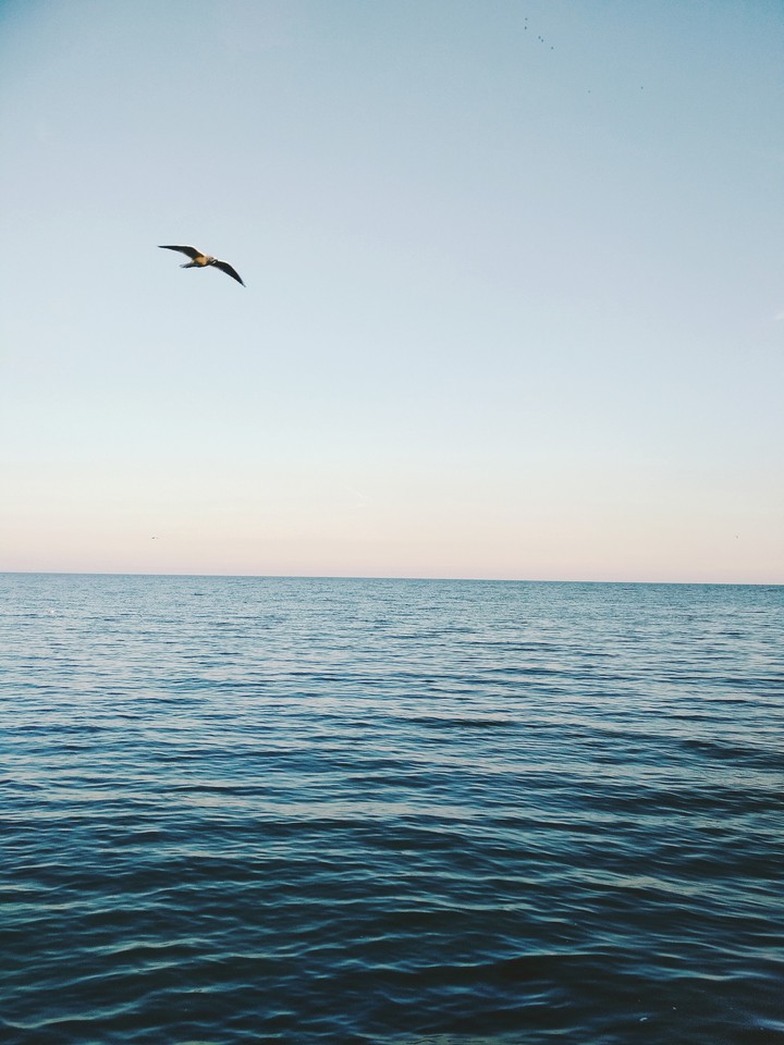 sea