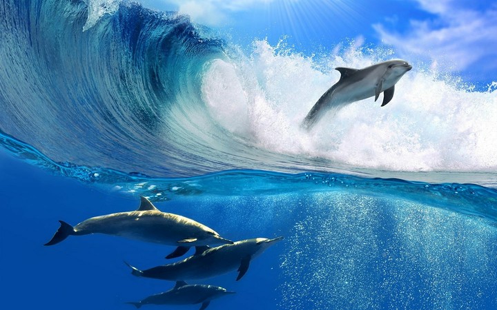 Waves