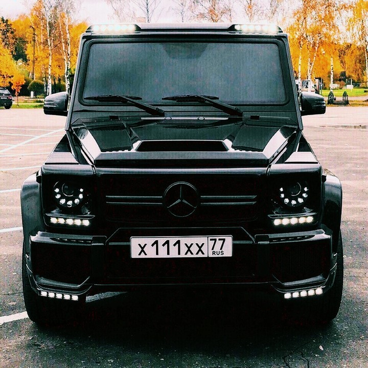 Мерин 111