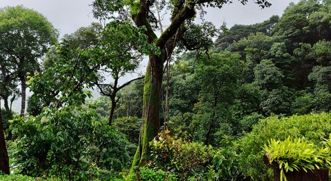 Get lost and be one with nature