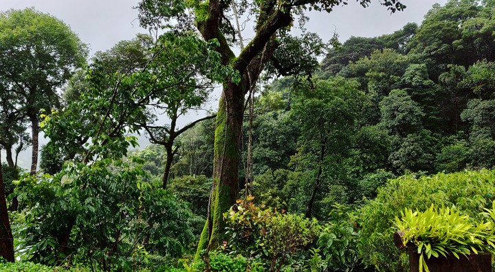 Get lost and be one with nature