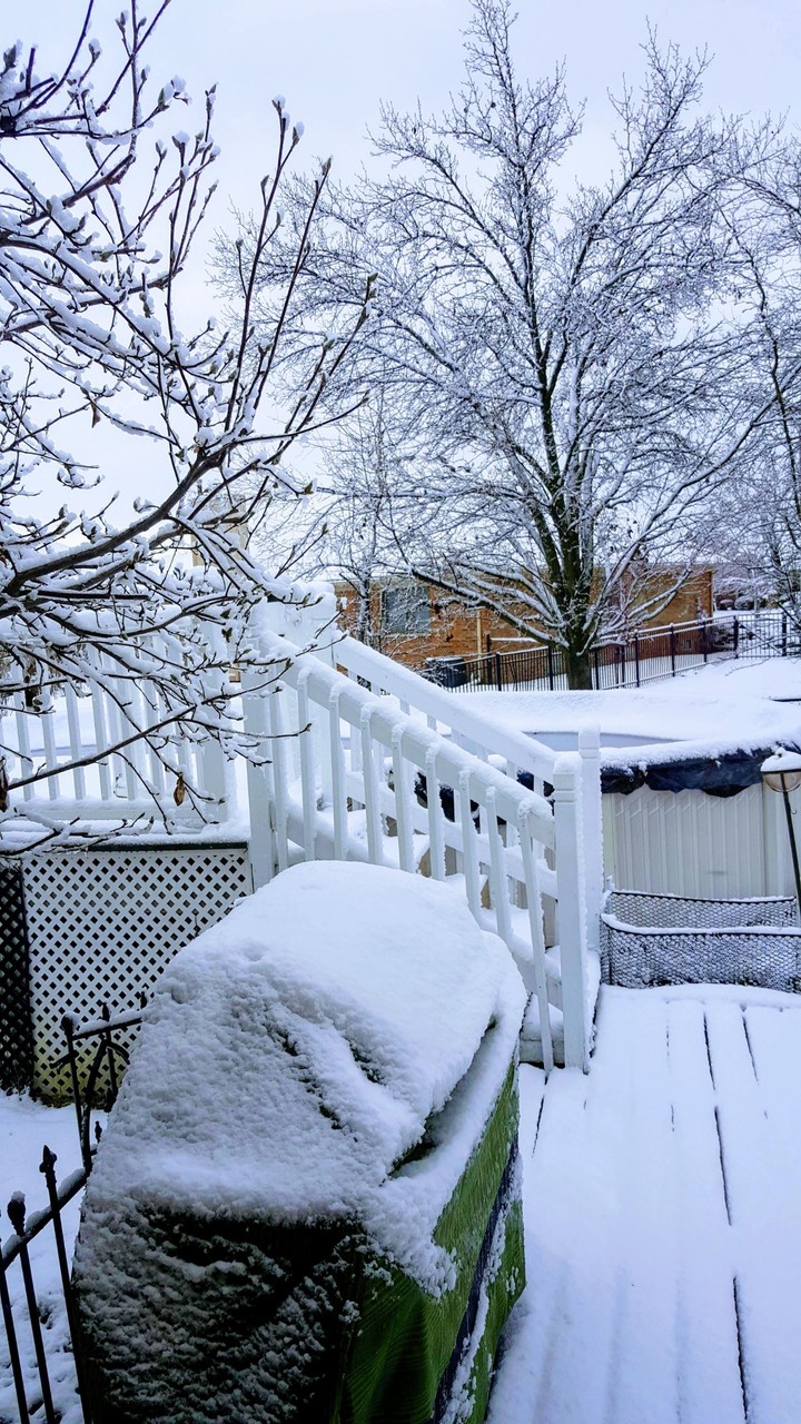 Snow