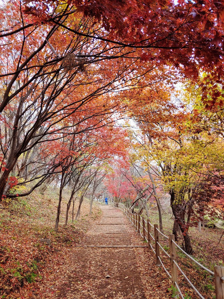 south korea nam han san sung