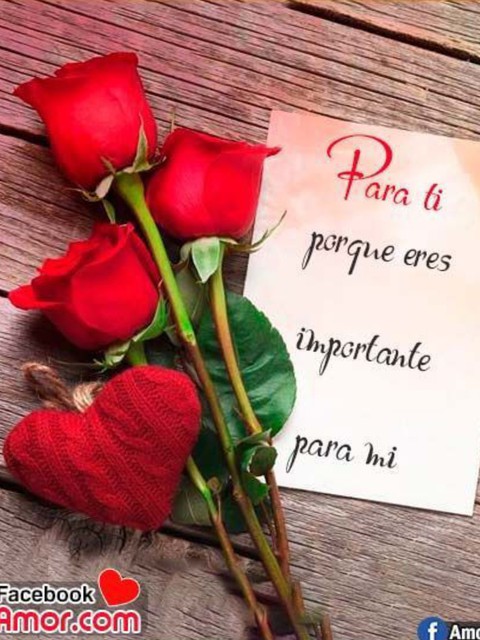 AMAR É...