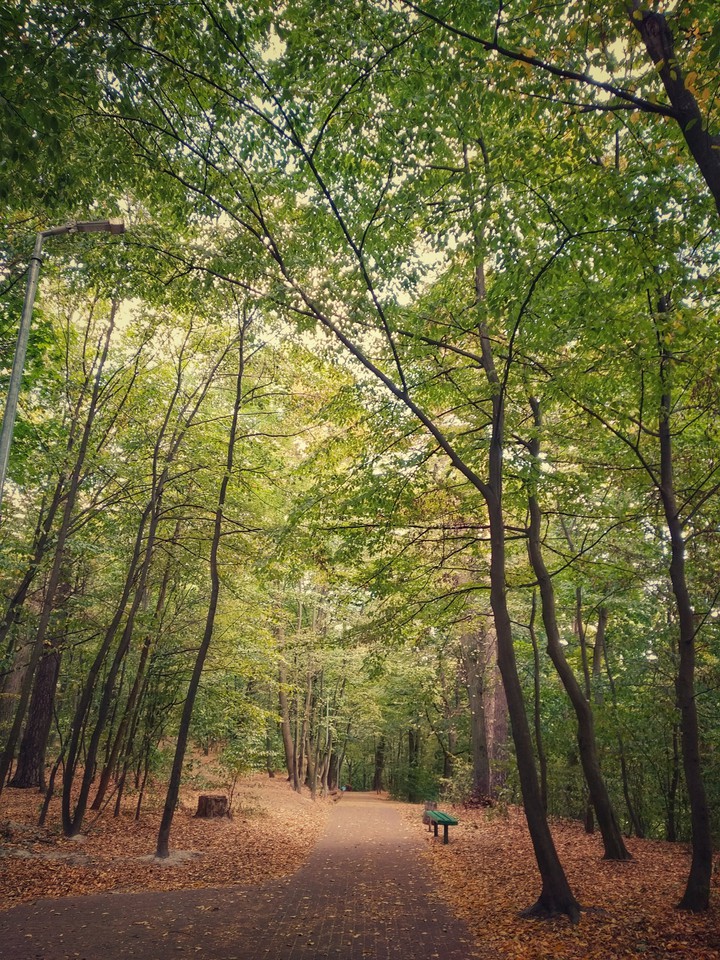 Fall