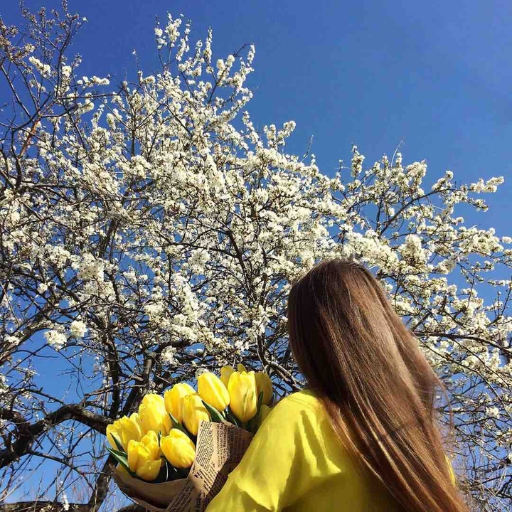 spring