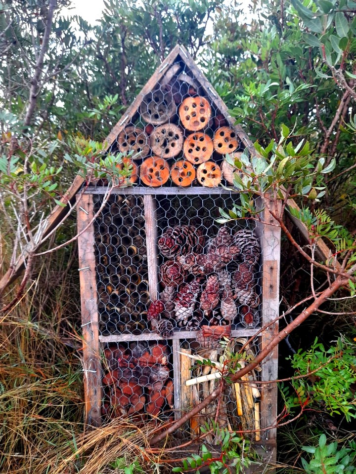 A home for birds