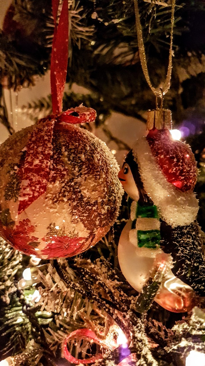 Christmas
