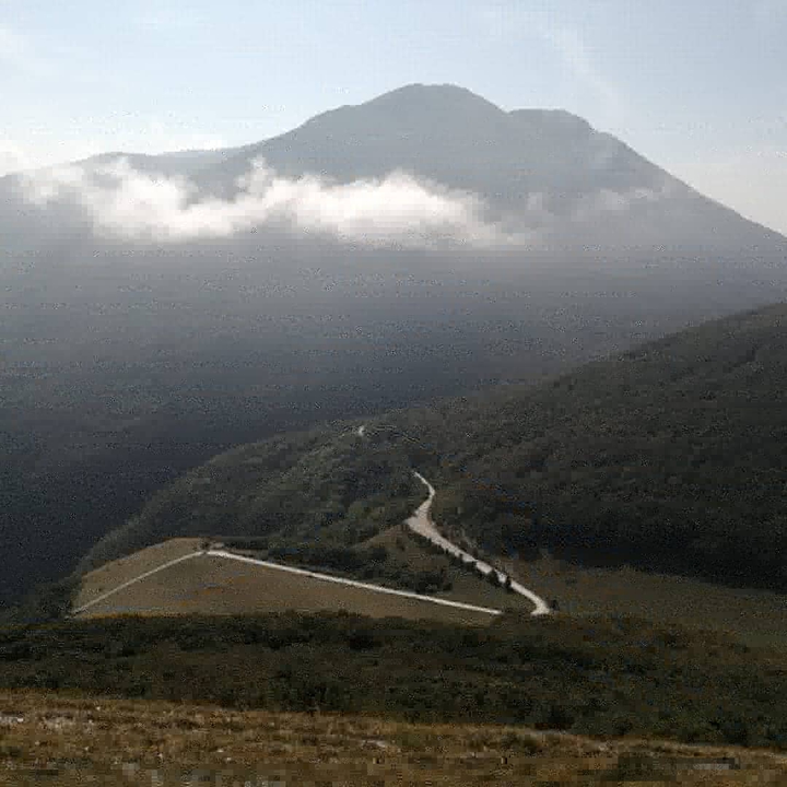 Monte