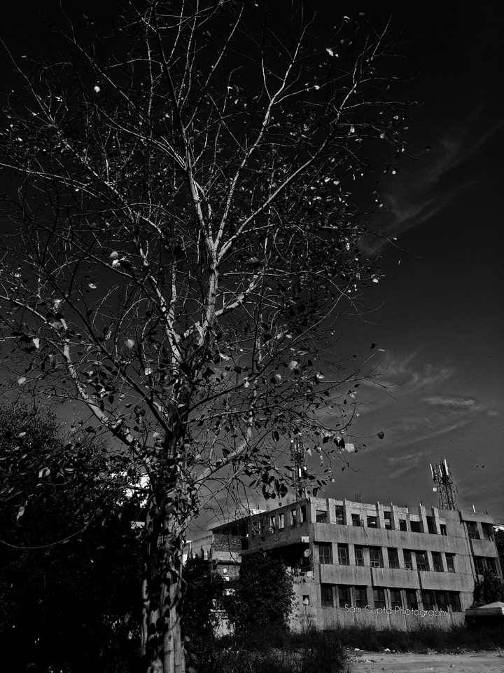 Nature or Concrete ? Black or White?
