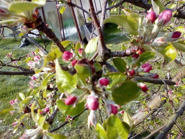 Spring is very beautiful 
