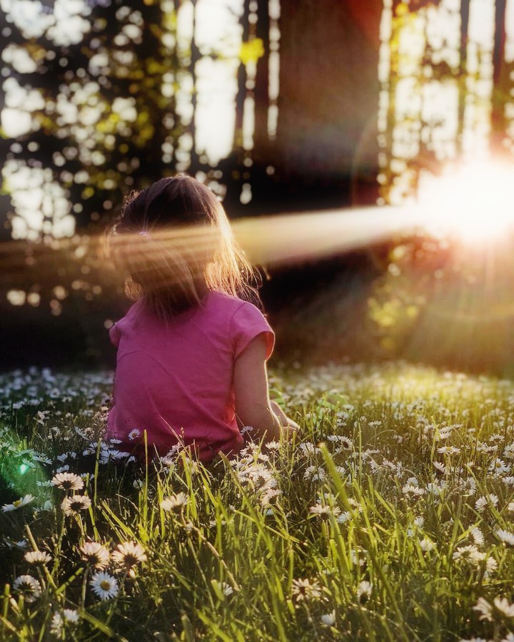 and when you have found the light, fill the chalice.....