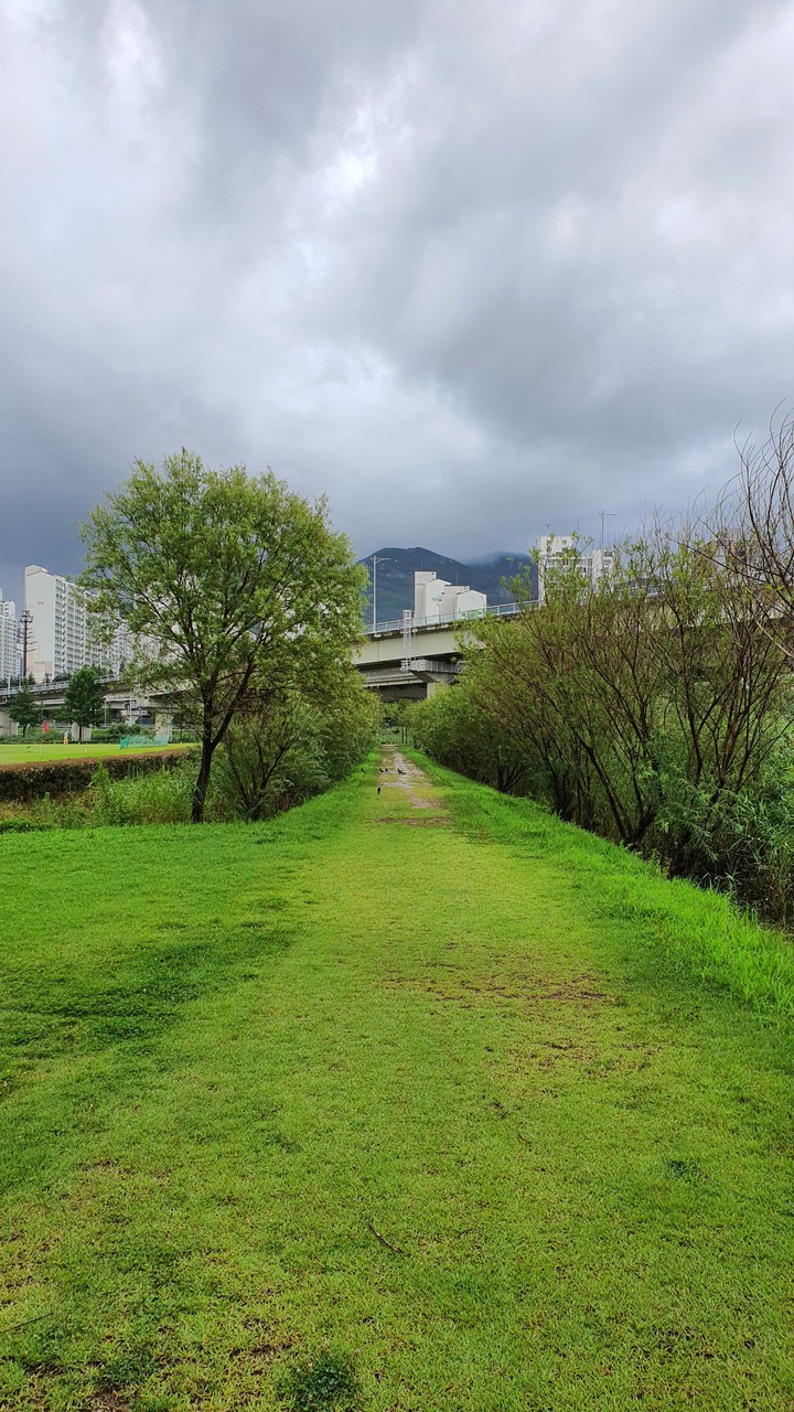 nature