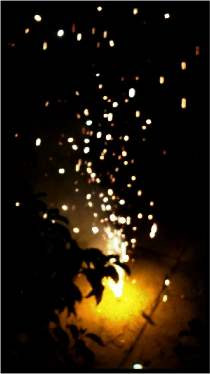 night life
