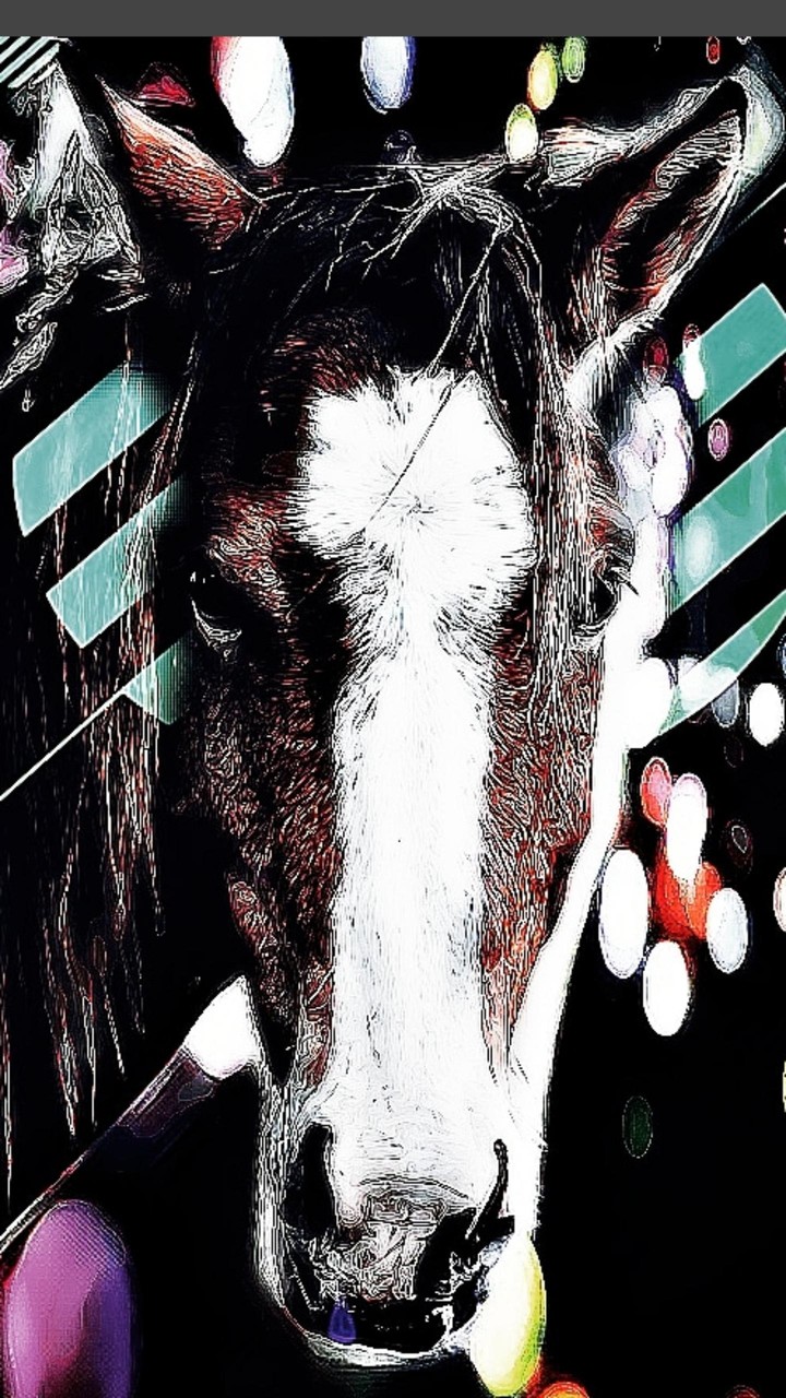 cheval
