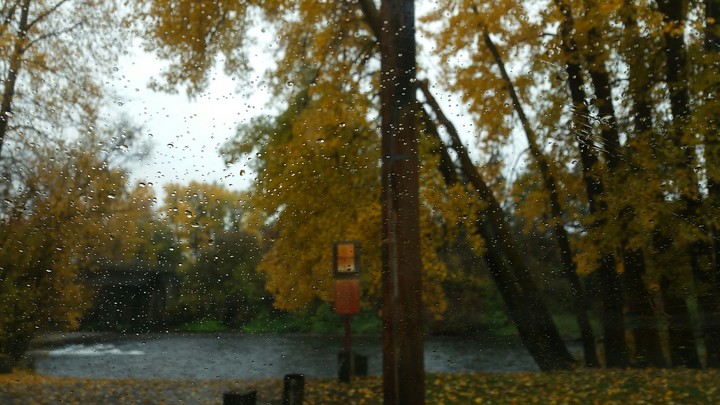 PNW fall