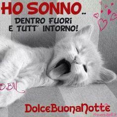 buona notte