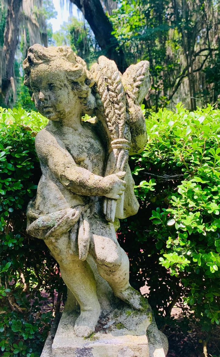 Cupid !
