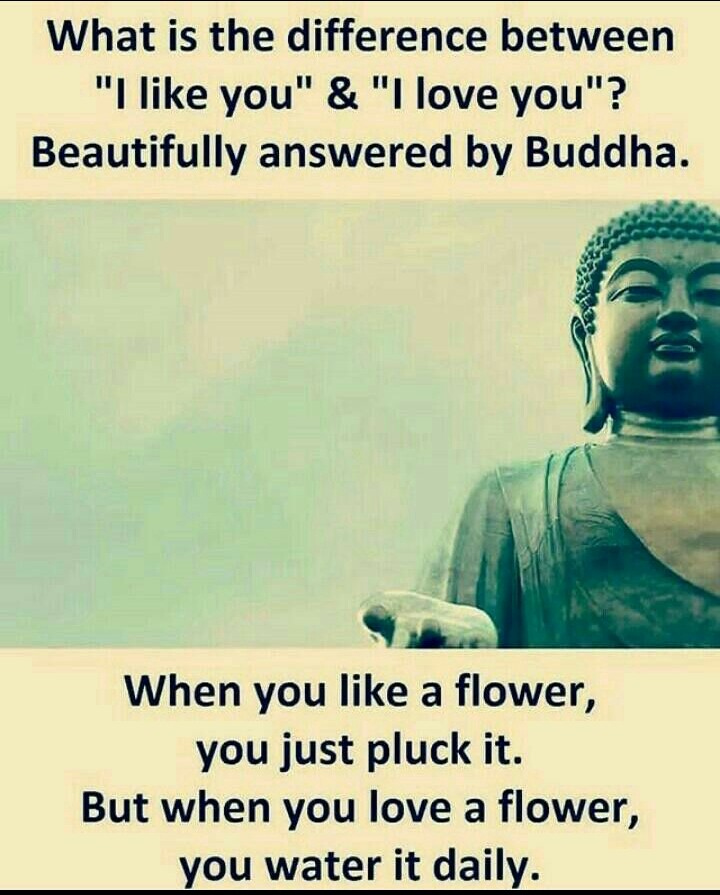 life