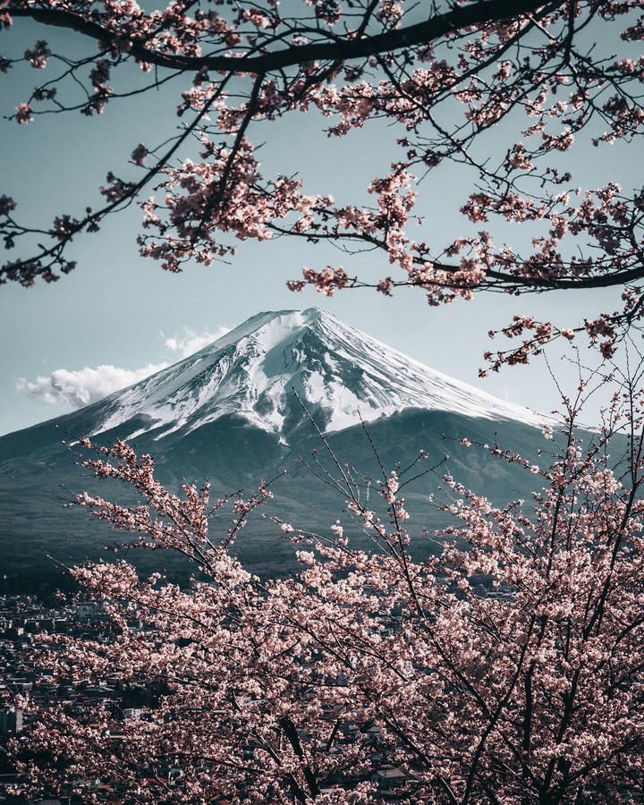 Mount Fuji