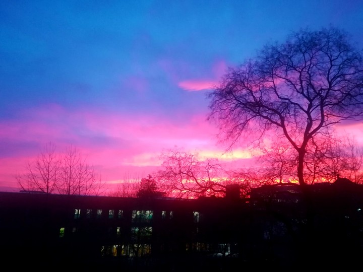 Sky