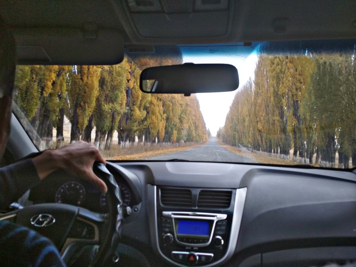 Дорога