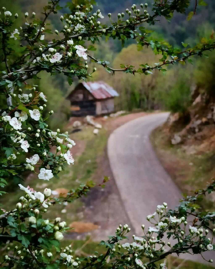 طبیعت زیبایی گیلان