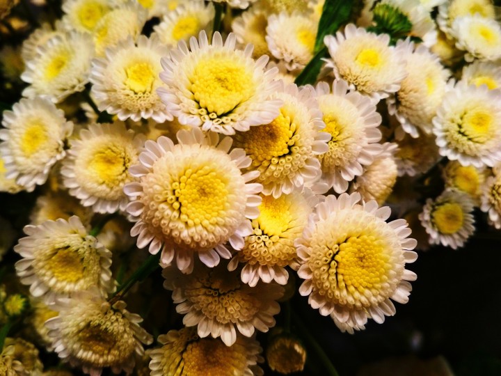 White flower