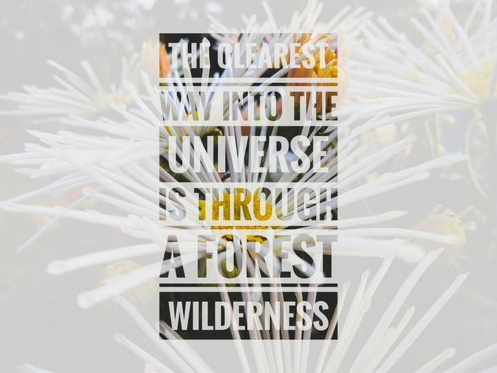 Nature Quotes