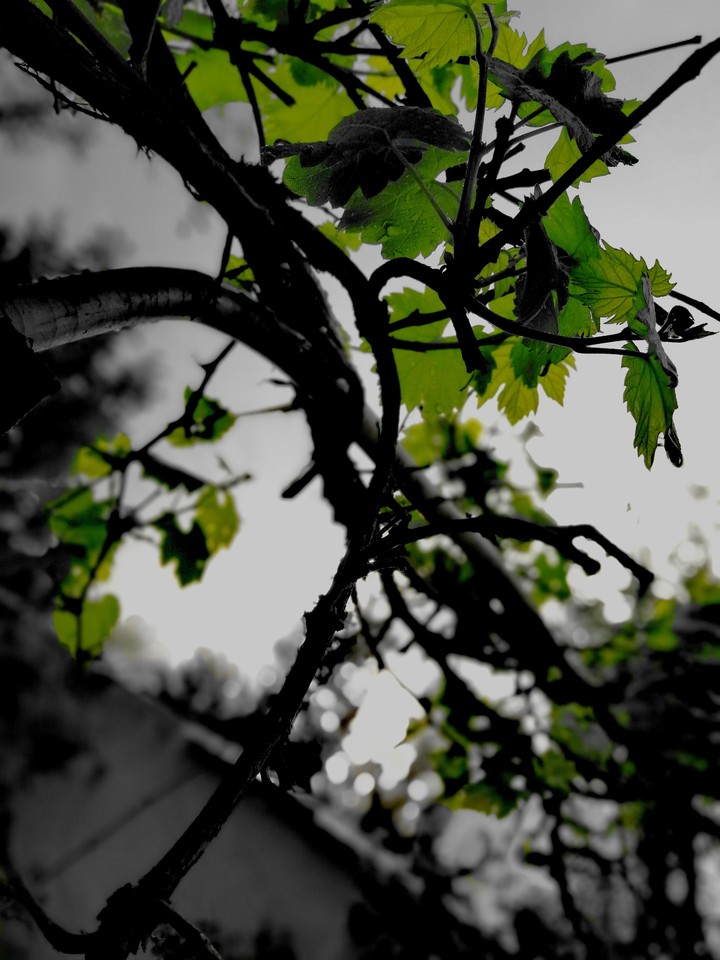 When start raining.