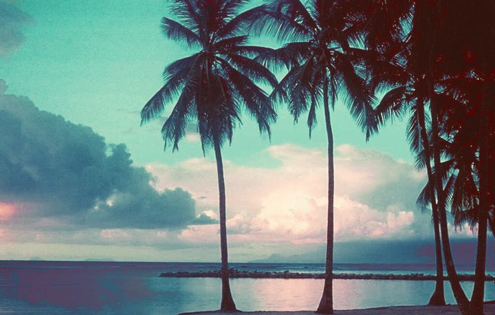 Summer