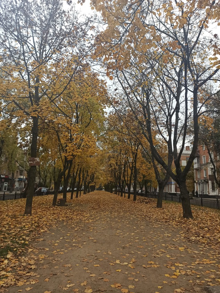 осень