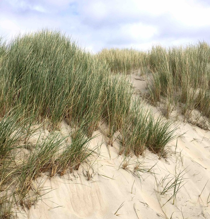 Where there are dunes, are beach!