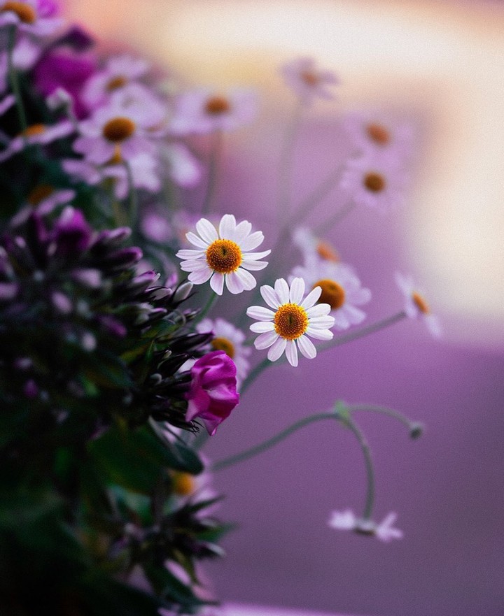 beauty...