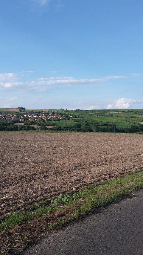 fields