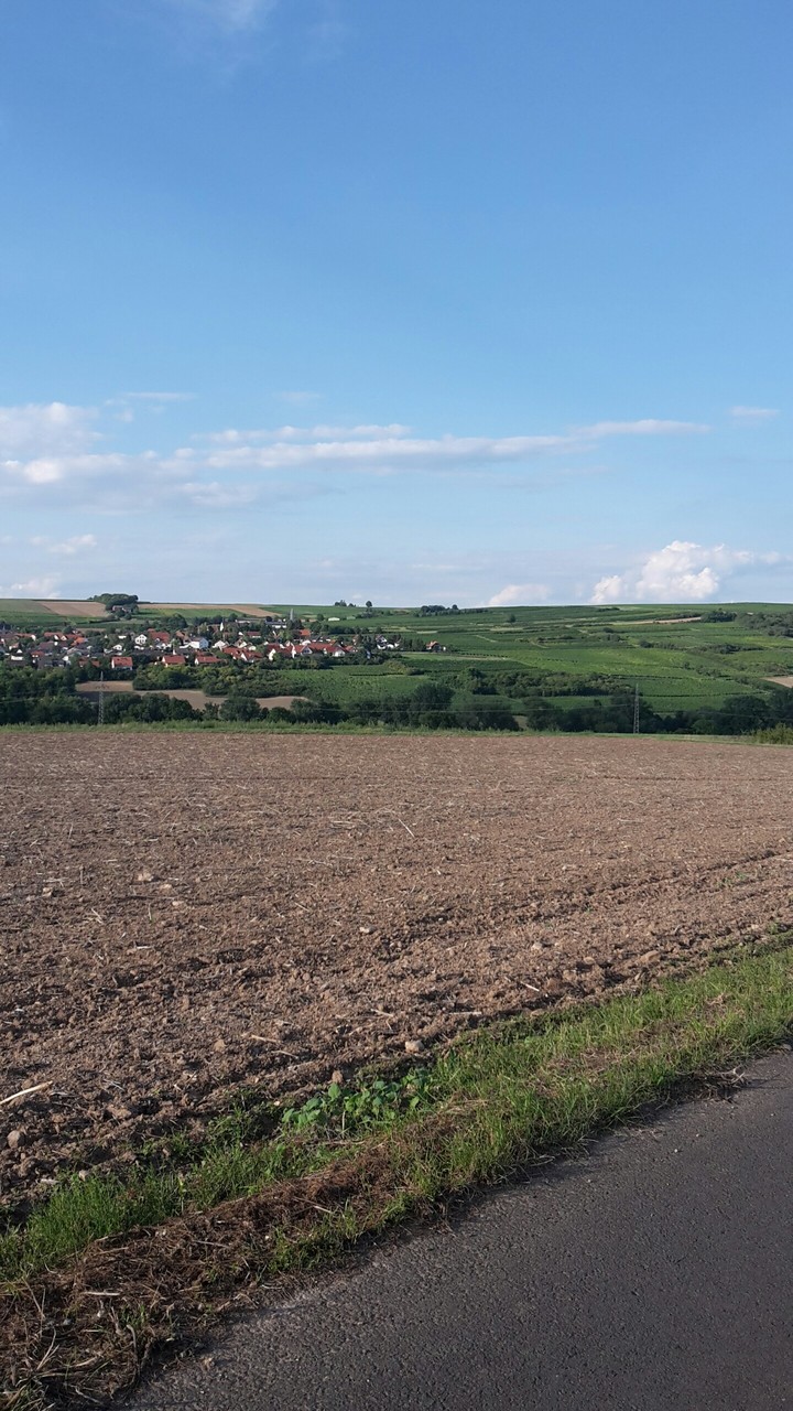 fields
