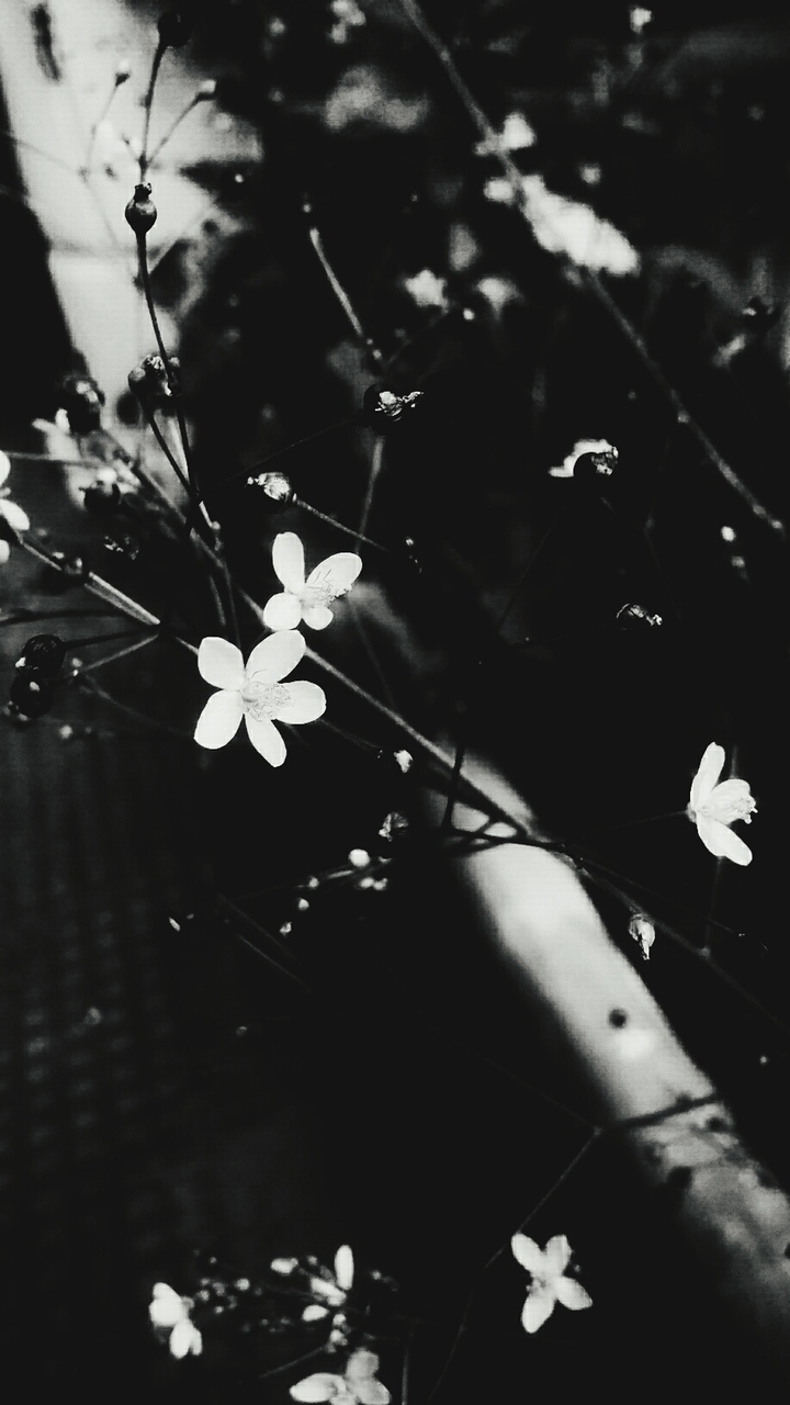 black and white